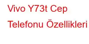 Vivo Y73t Cep Telefonu Özellikleri