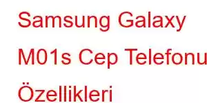 Samsung Galaxy M01s Cep Telefonu Özellikleri