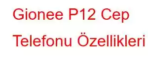 Gionee P12 Cep Telefonu Özellikleri