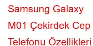 Samsung Galaxy M01 Çekirdek Cep Telefonu Özellikleri