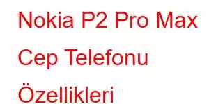 Nokia P2 Pro Max Cep Telefonu Özellikleri