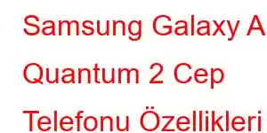 Samsung Galaxy A Quantum 2 Cep Telefonu Özellikleri