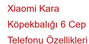 Xiaomi Kara Köpekbalığı 6 Cep Telefonu Özellikleri