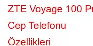 ZTE Voyage 100 Pro Cep Telefonu Özellikleri