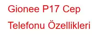 Gionee P17 Cep Telefonu Özellikleri